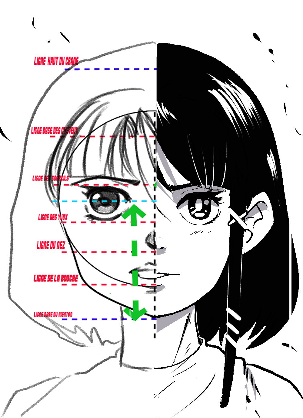 Apprendre à dessiner un Visage Manga fille - Cours de Manga