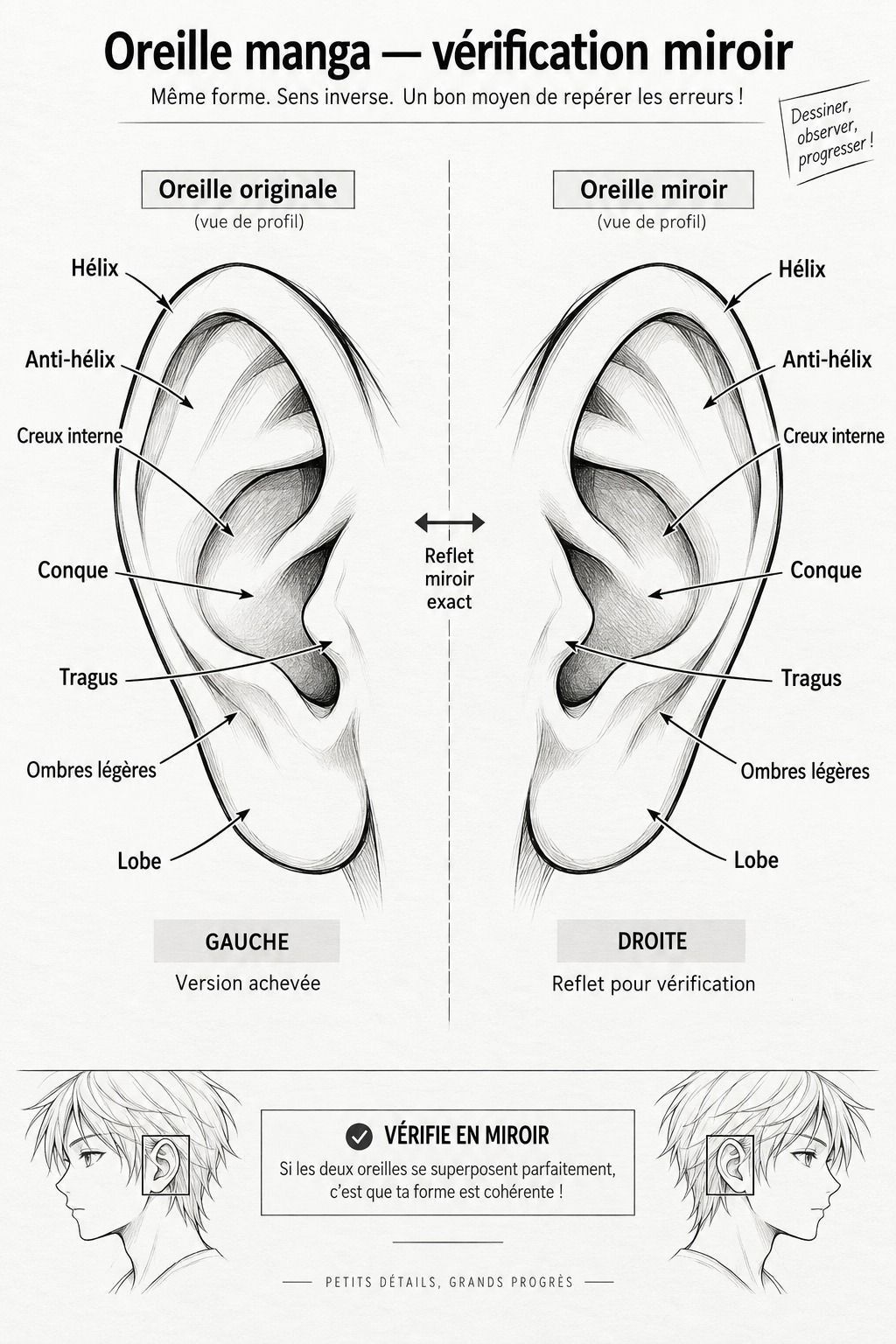 Le test du miroir termine une oreille propre