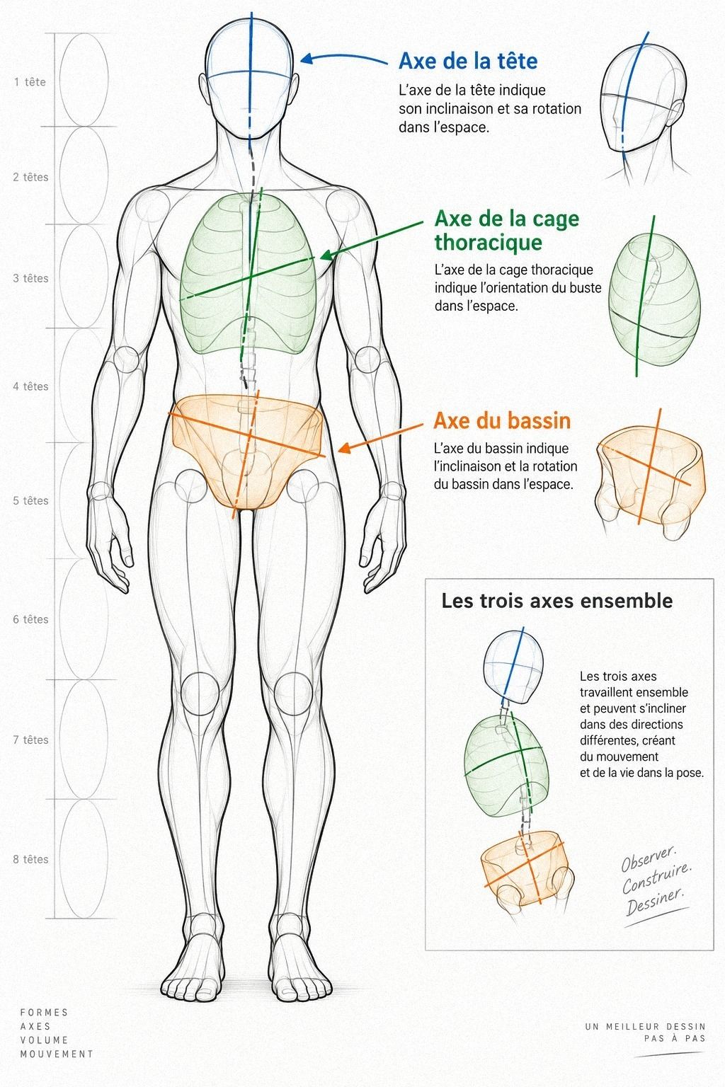 Utilise la règle des trois axes pour une pose vivante